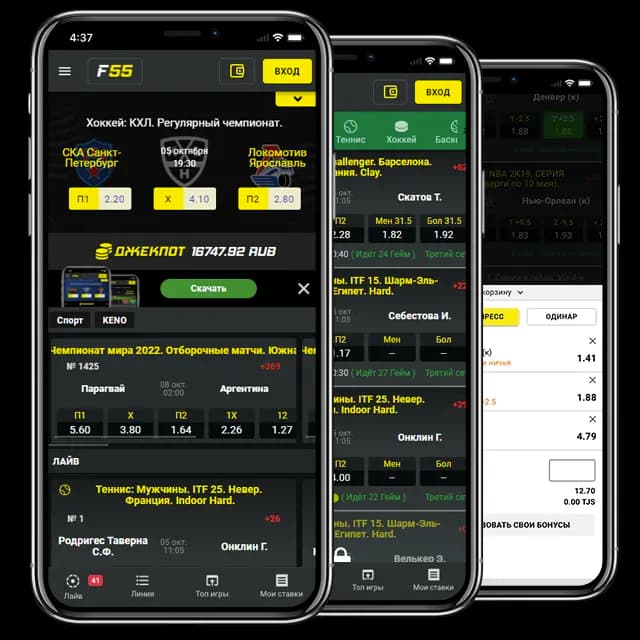 Mobile Application Preview